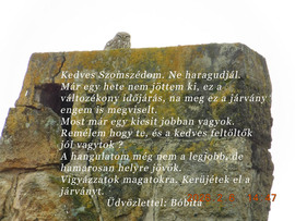 Bóbita gyógyuló félben van.