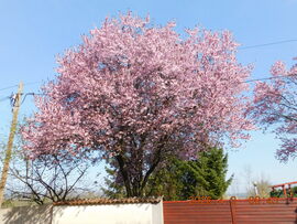 Feldebrő