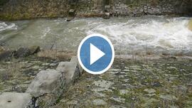 Az aldebrői Tarna zuhogó csodálatos pompával továbbítja, a sok hó és eső vizét