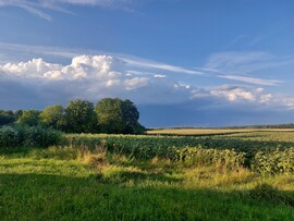 Komlósd