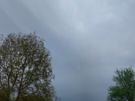 Komlósd