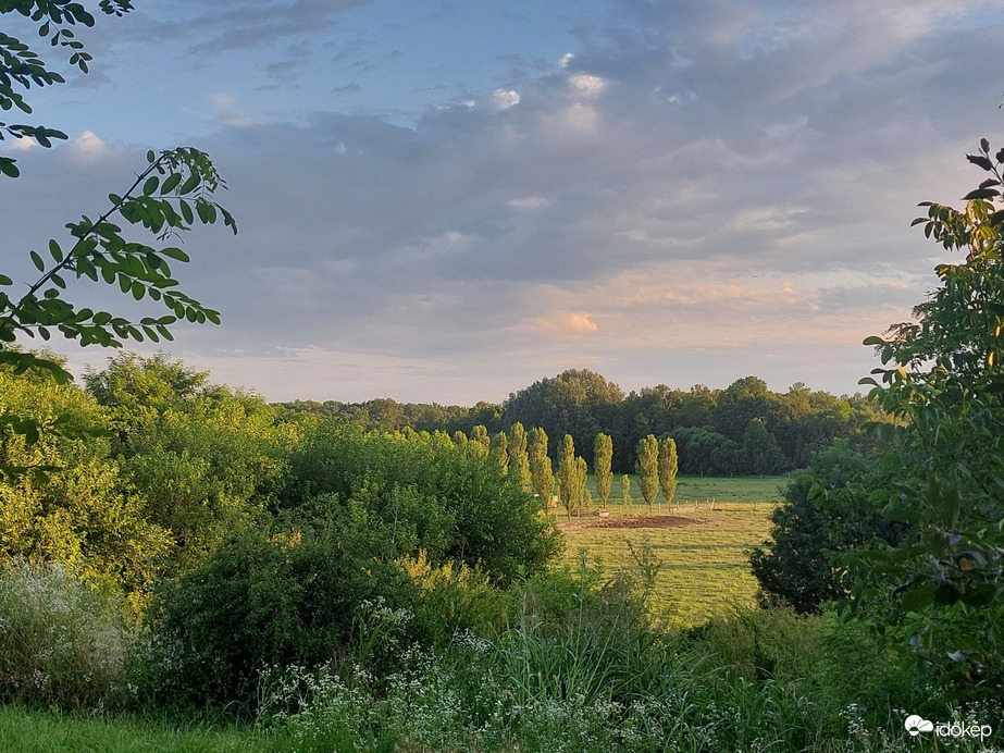 Komlósd