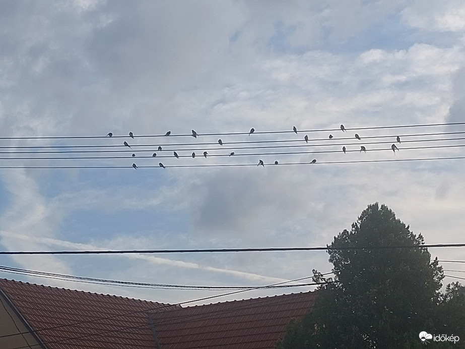 Komlósd