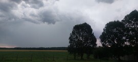 Komlósd