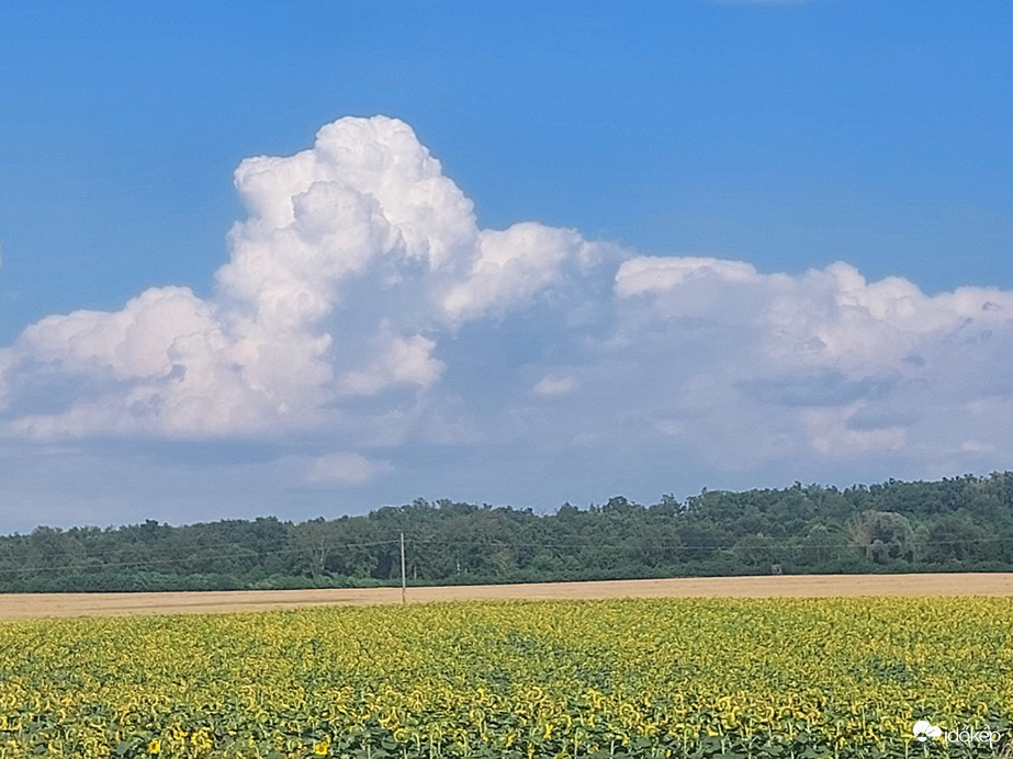 Komlósd