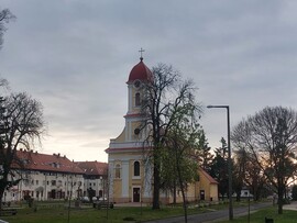 Komlósd