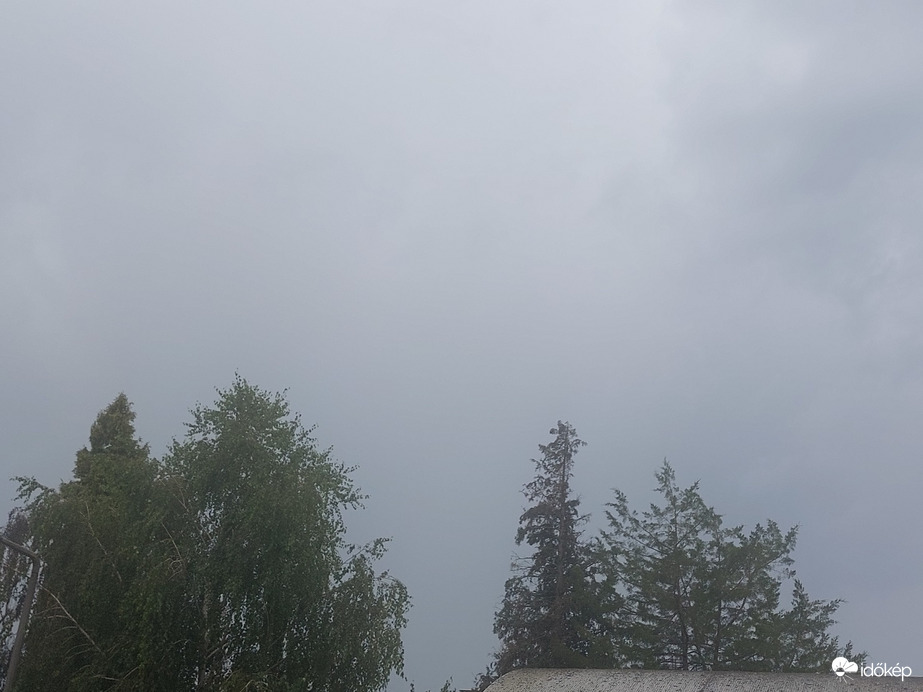 Komlósd