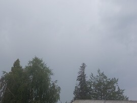 Komlósd
