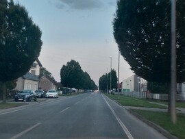 Komlósd