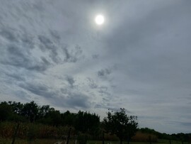 Komlósd