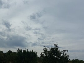 Komlósd