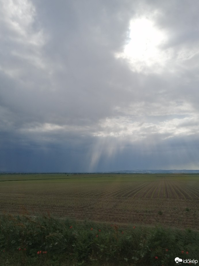 Zámoly