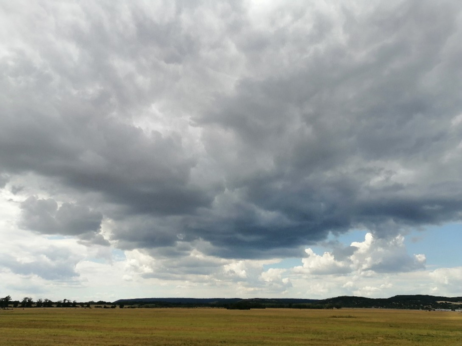 Zámoly