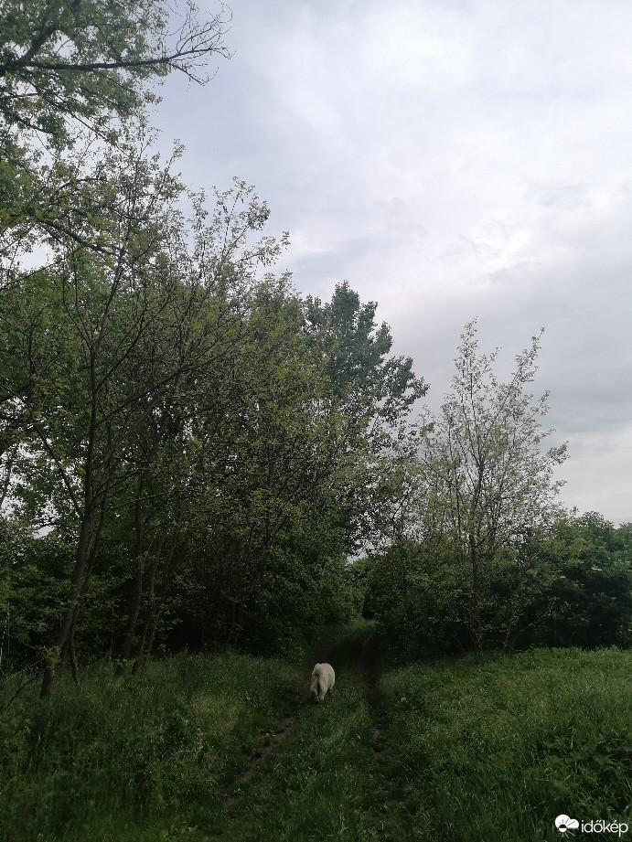 Zámoly