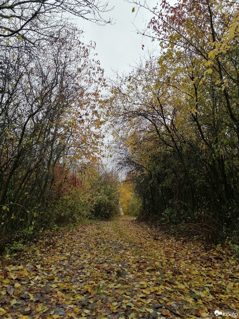 Zámoly