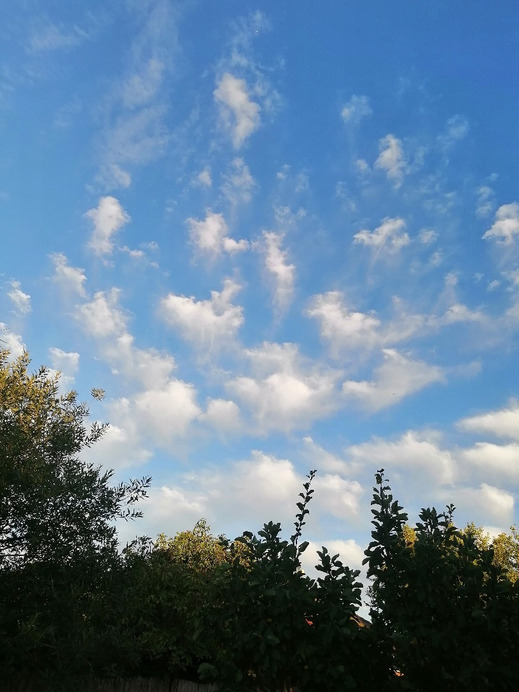 Zámoly
