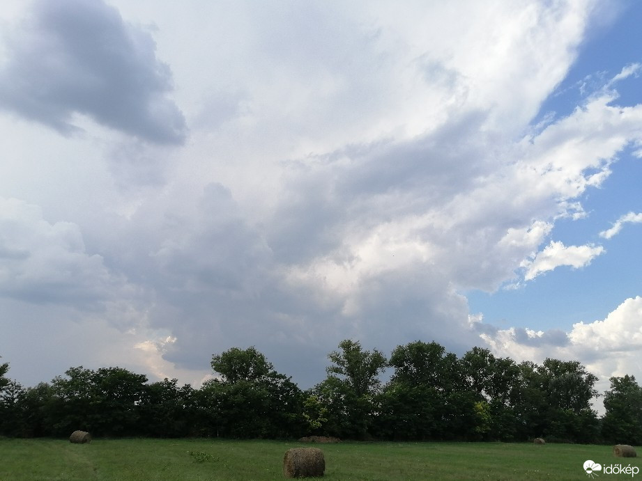 Zámoly