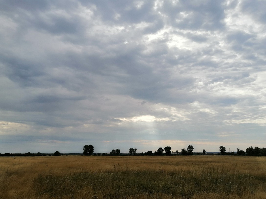 Zámoly