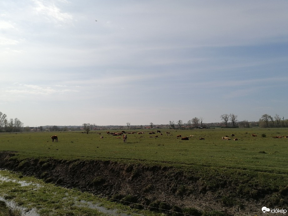 Zámoly