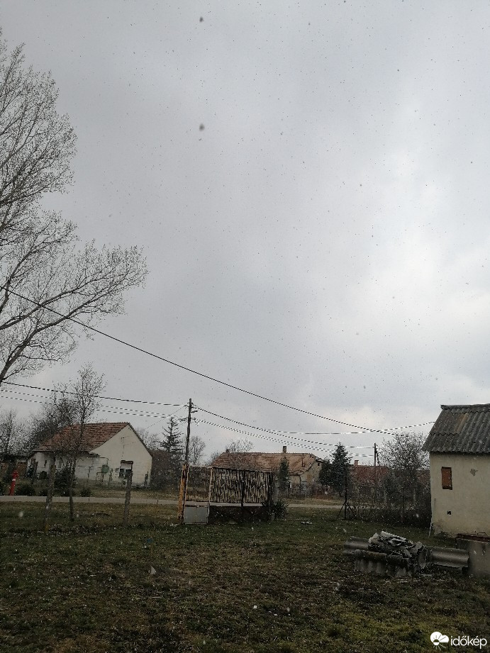 Zámoly