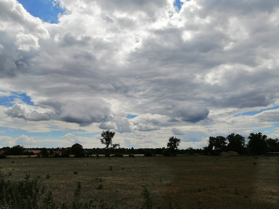 Zámoly