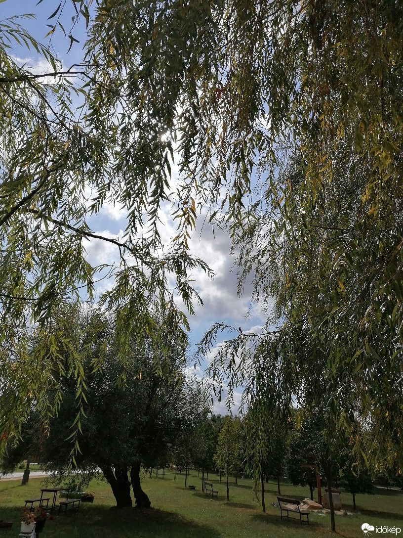 Zámoly