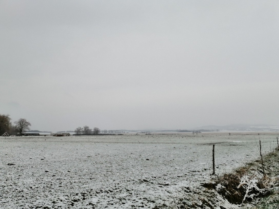Zámoly