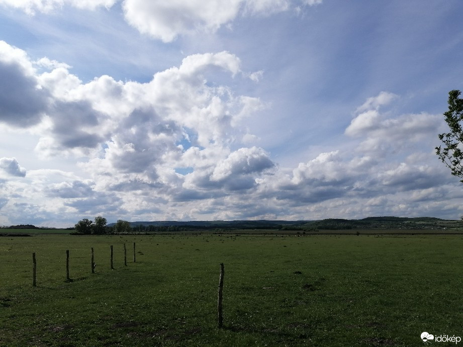 Zámoly
