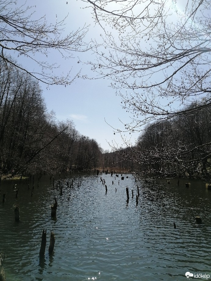 Bakonykoppány