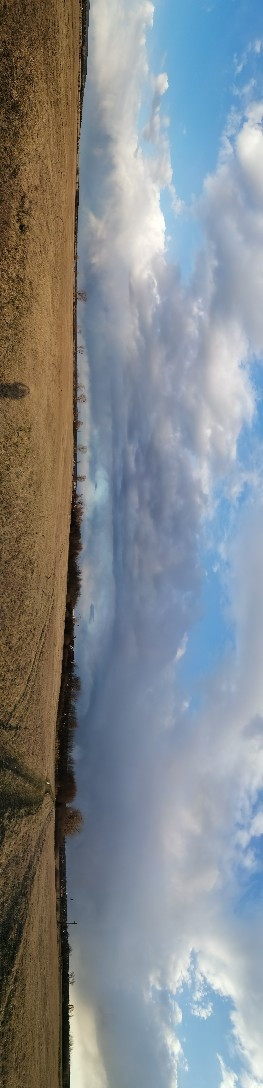 Zámoly