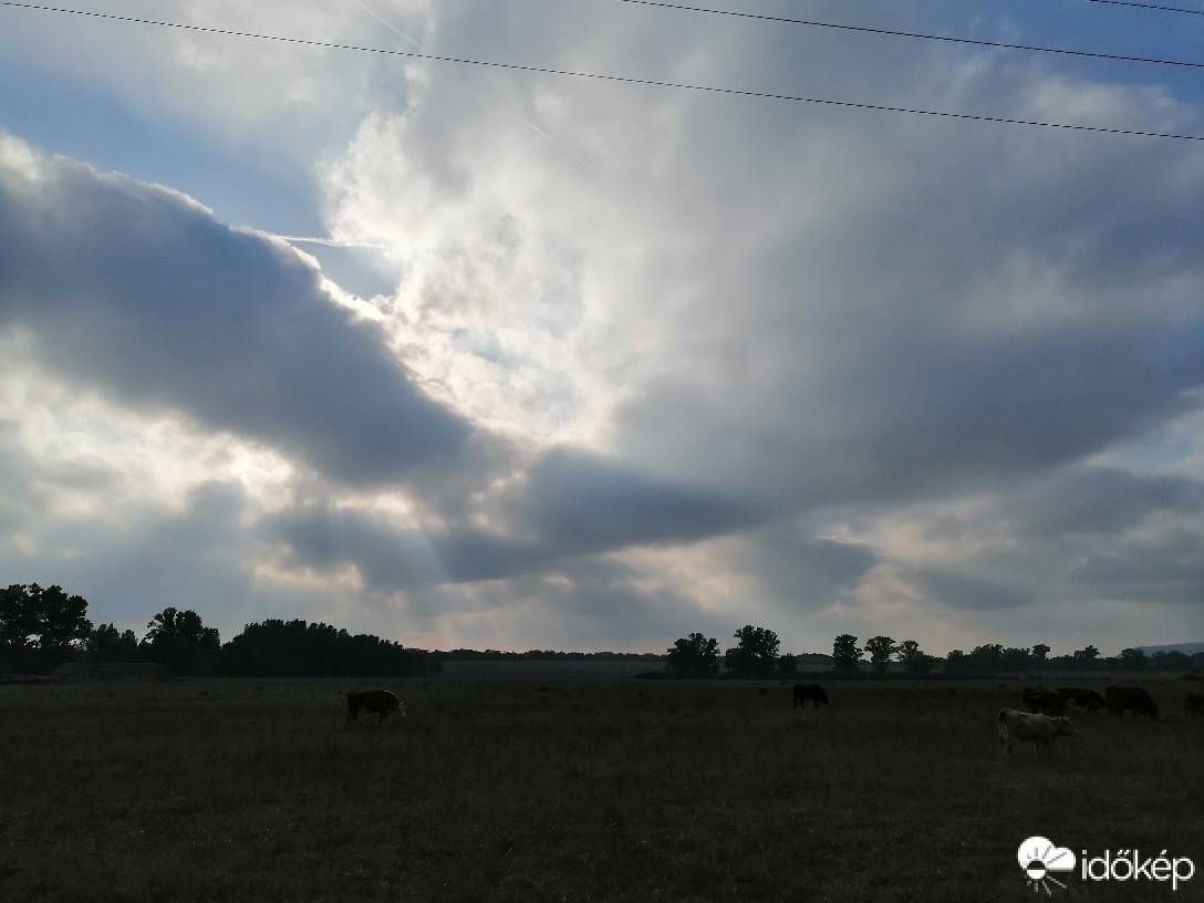 Zámoly