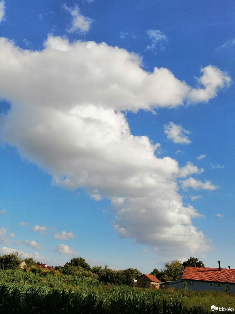 Zámoly