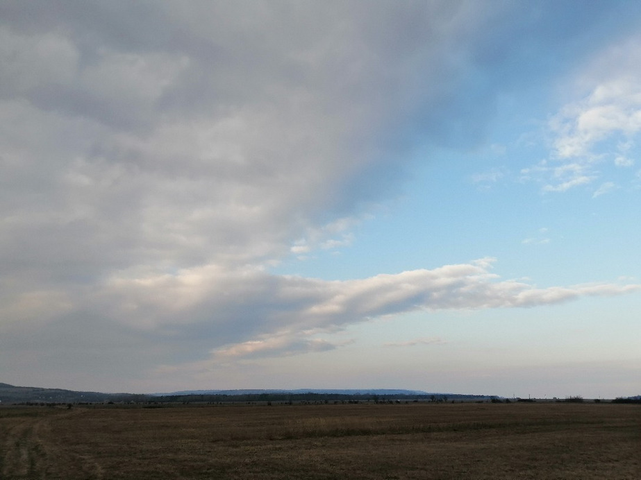 Zámoly