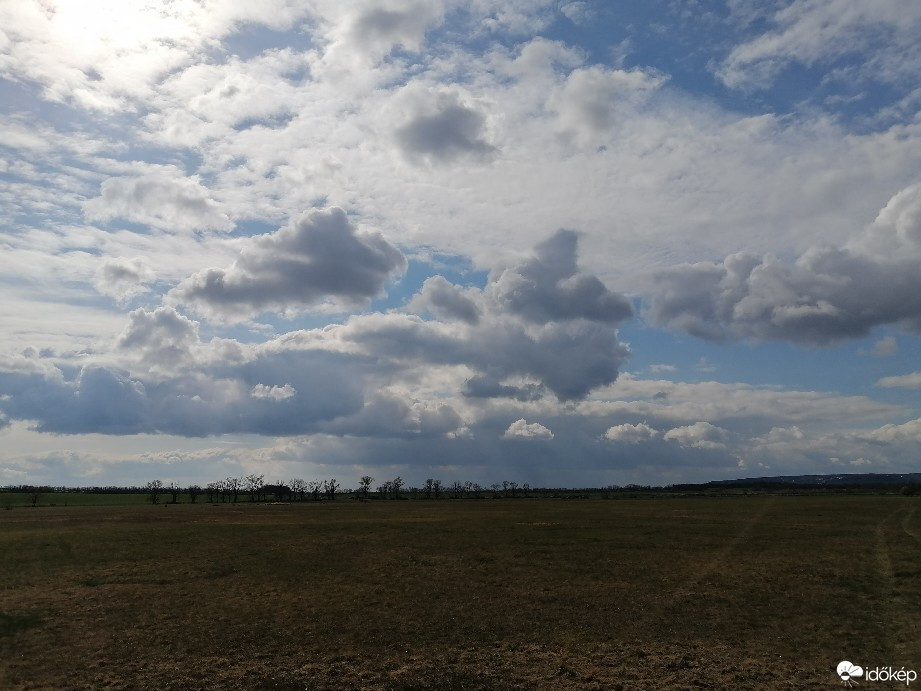 Zámoly