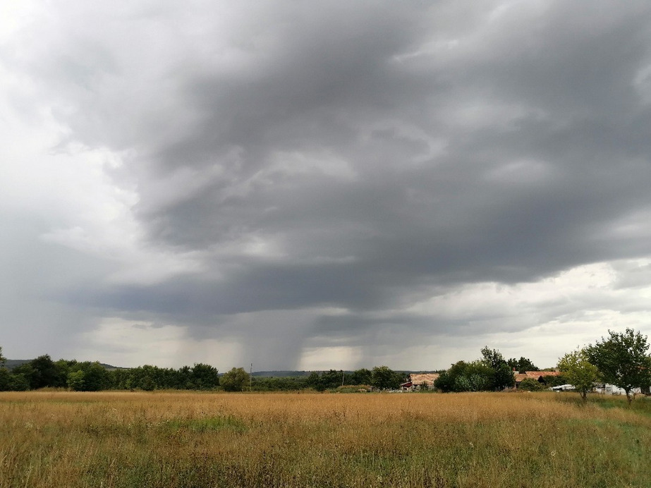 Zámoly