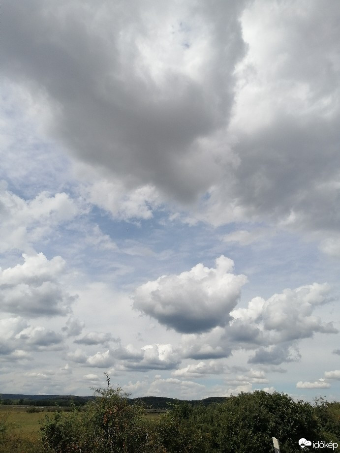 Zámoly