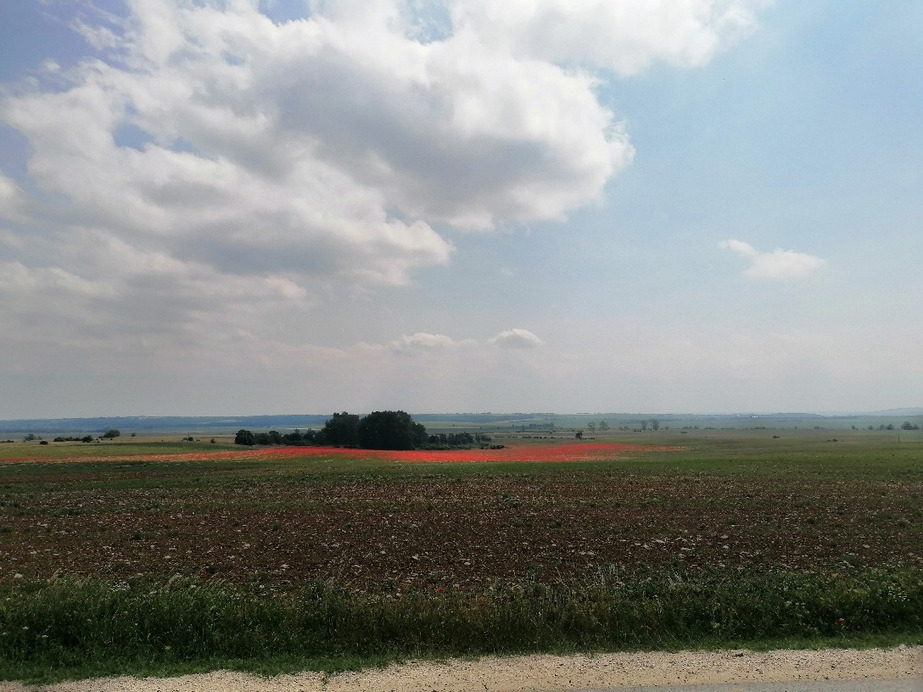 Zámoly