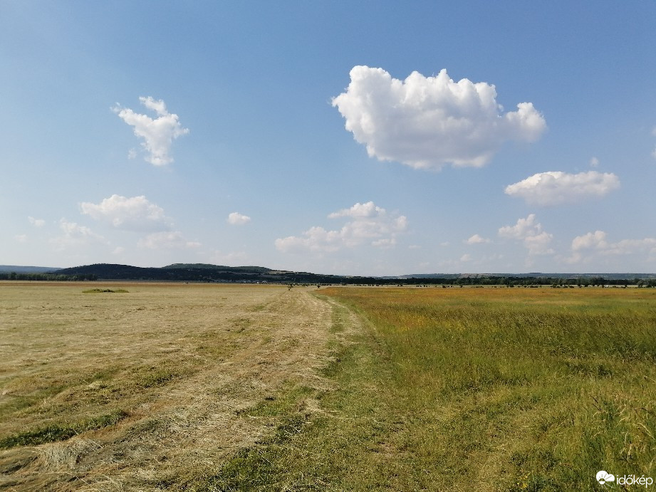 Zámoly