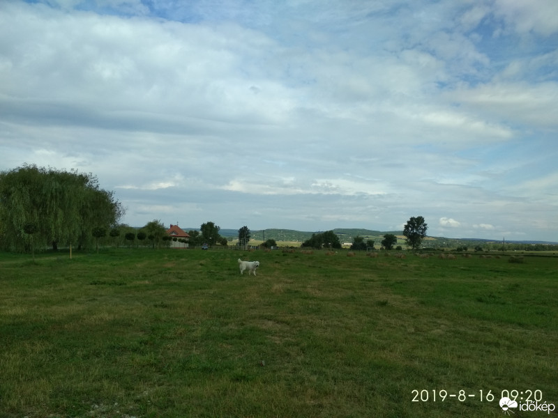 Zámoly