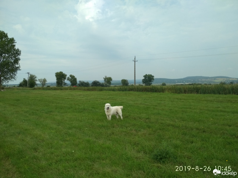 Zámoly
