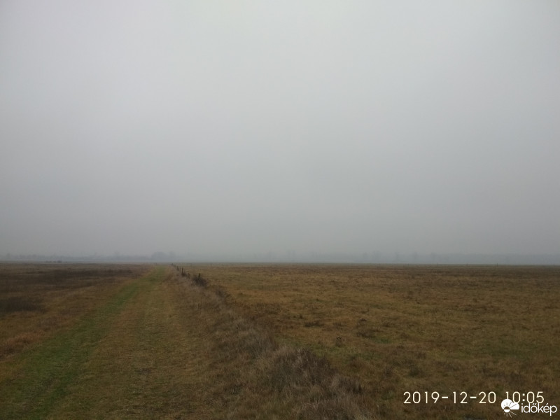 Zámoly