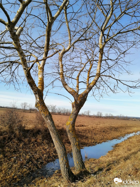 Zámoly