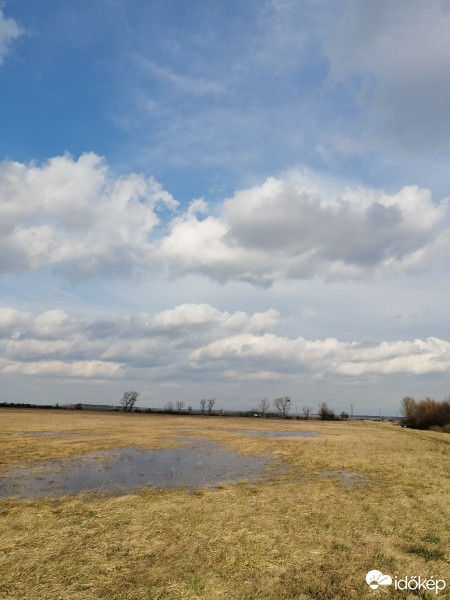 Zámoly