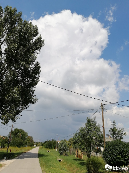 Zámoly