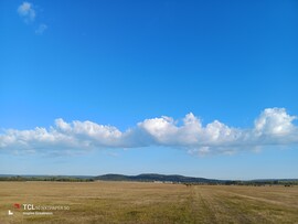 Zámoly