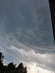 Nyírszőlős