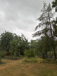 Mosonmagyaróvár