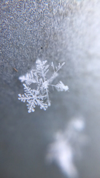 Hódmezővásárhely