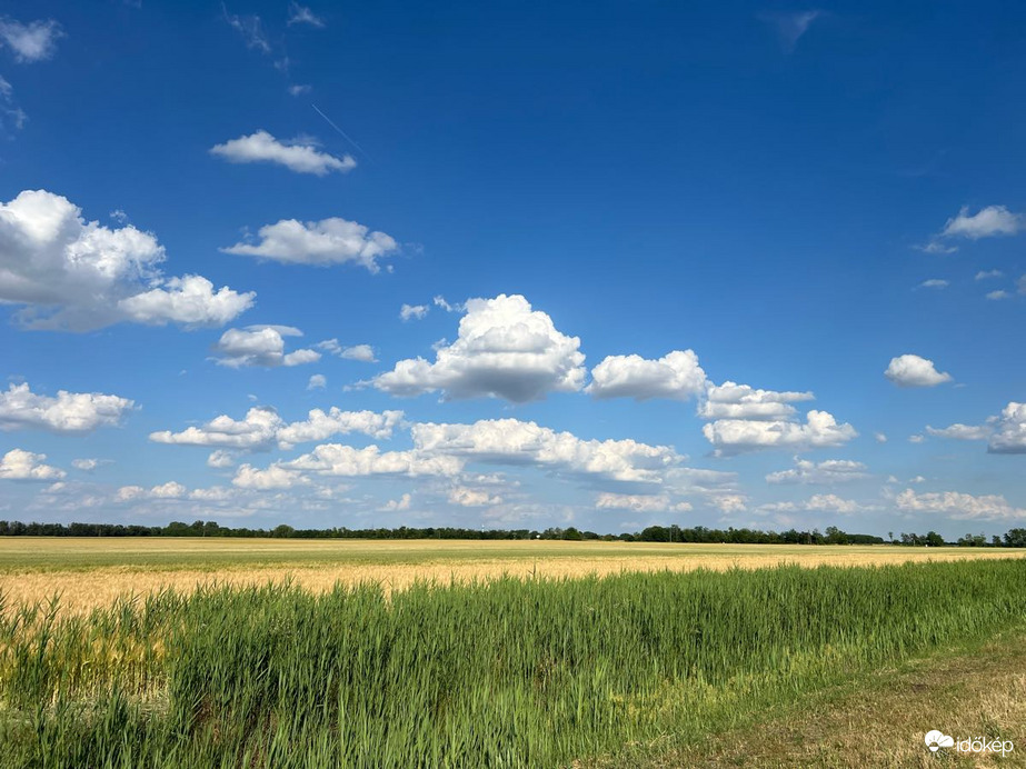 Szikáncs