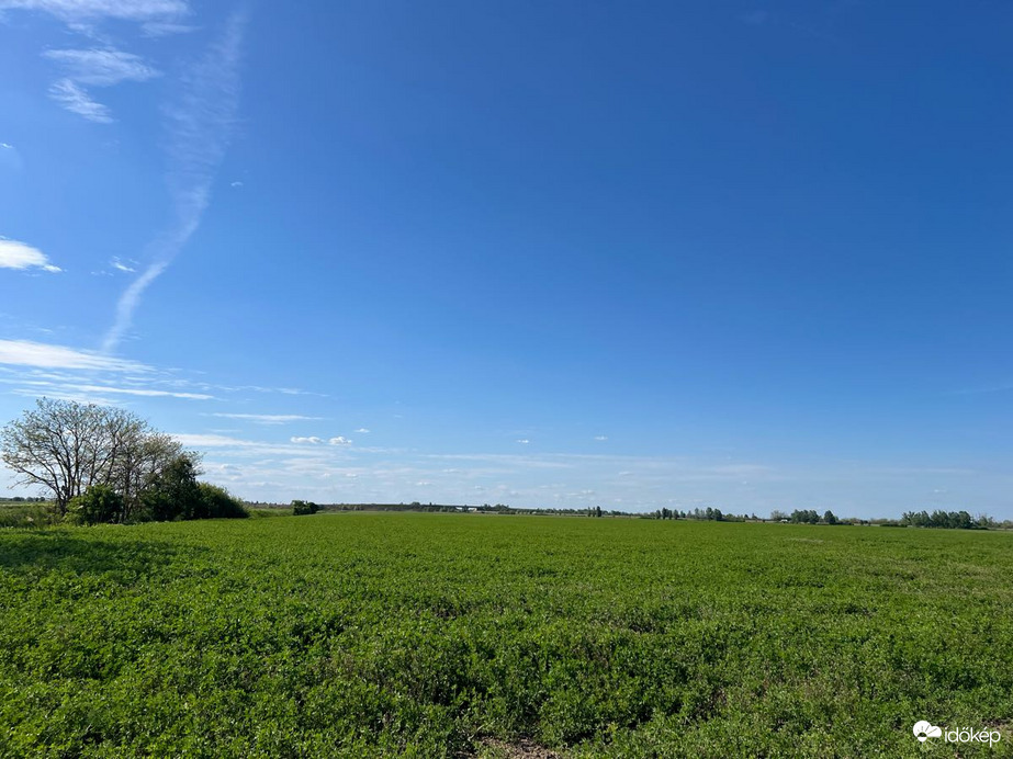 Maroslele